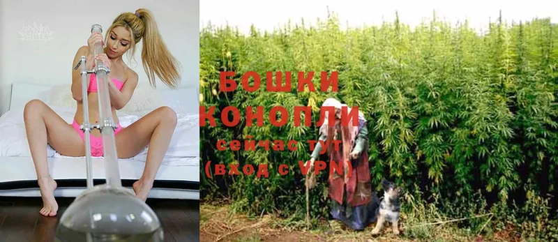 OMG tor  магазин  наркотиков  Канаш  МАРИХУАНА White Widow 